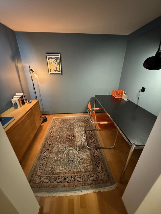 Freshly renovated and Furnished Apartment with Garden, Lake Views and Mid-Century Modern Style 7