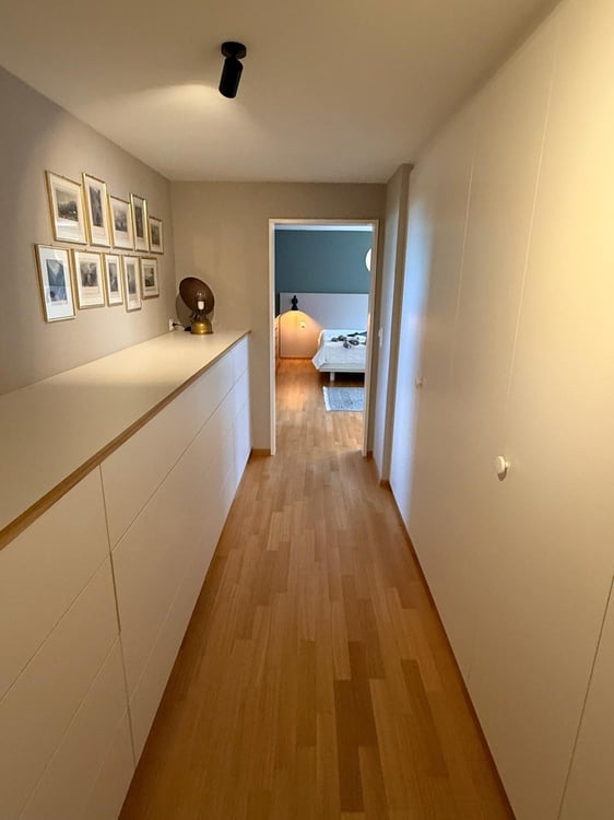 Freshly renovated and Furnished Apartment with Garden, Lake Views and Mid-Century Modern Style 6