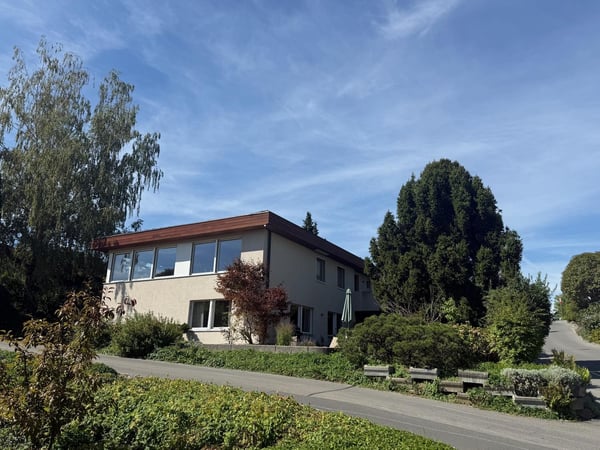 Freshly renovated and Furnished Apartment with Garden, Lake Views and Mid-Century Modern Style 11