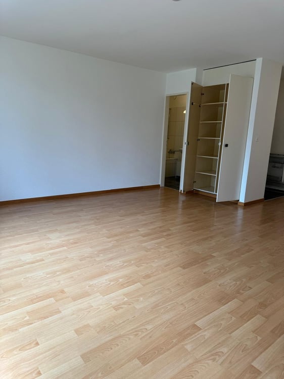 2 room apartment, 8050 Zürich 2