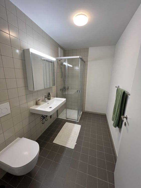 Moderne 2.5-Zimmer-Neubauwohnung mit Bergsicht 4 Min. zum Bahnhof Effretikon 6