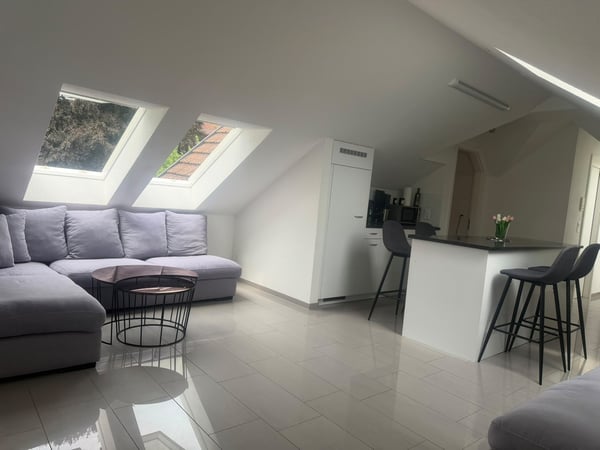 Helle 3.5-Zimmer-Dachwohnung in St. Gallen / Bright 3.5-Room Attic Apartment in St. Gallen 1