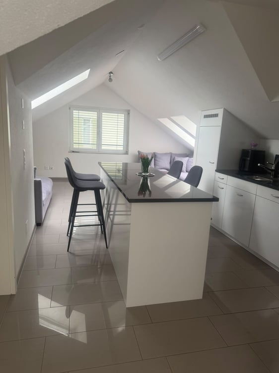 Helle 3.5-Zimmer-Dachwohnung in St. Gallen / Bright 3.5-Room Attic Apartment in St. Gallen 4