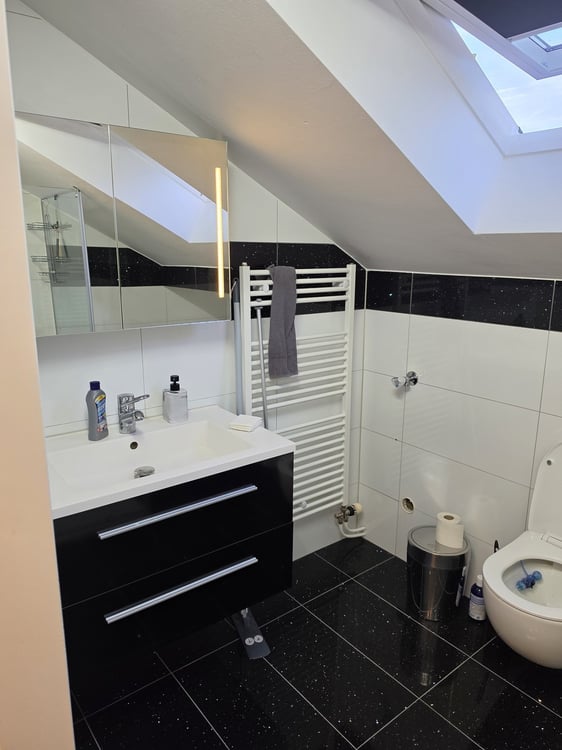 2.5 Zimmer Dachwohnung 10
