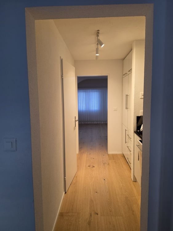 2.5 Zimmer Dachwohnung 2