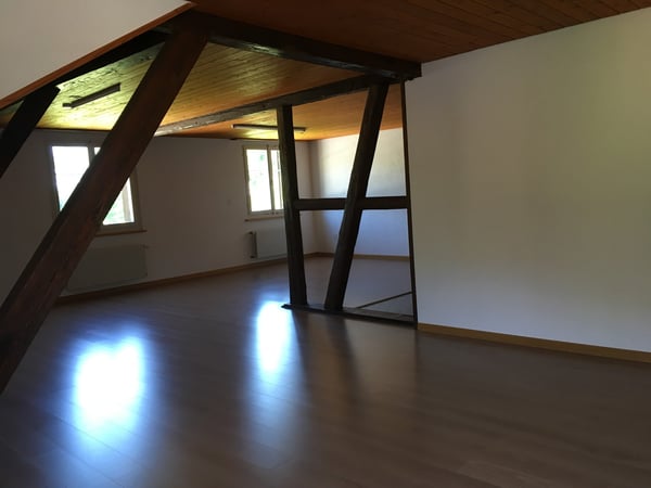 Gemütlliche 5 1/2 Zi. Wohnung neben Landwirtschaftswiese 8