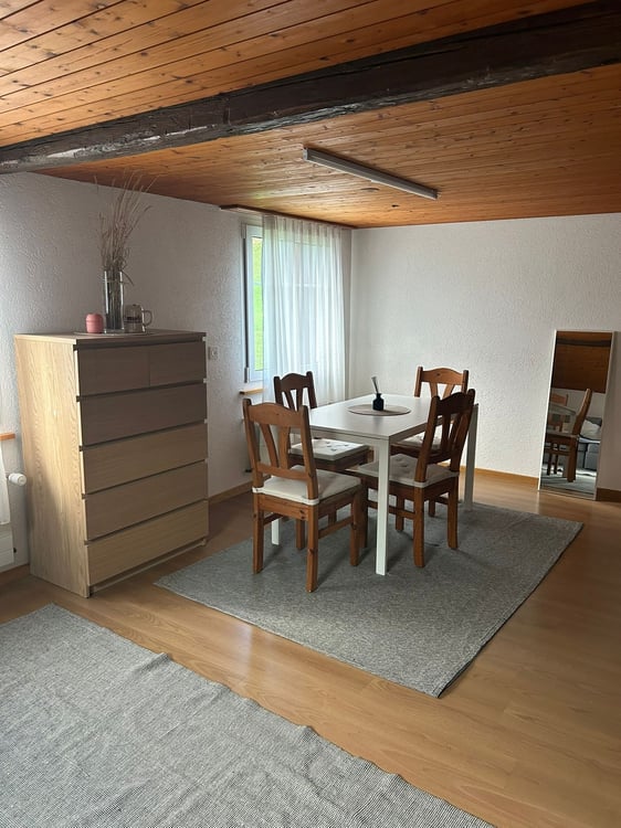 Gemütlliche 5 1/2 Zi. Wohnung neben Landwirtschaftswiese 2
