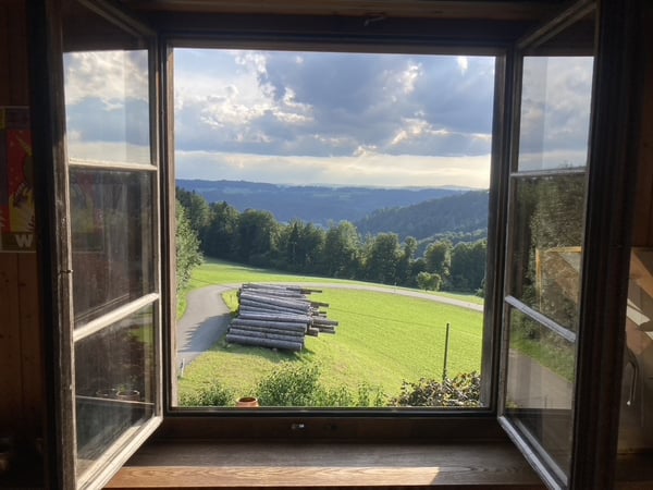 Wohnoase im Grünen - ideal für Auszeit oder Übergangslösung 4