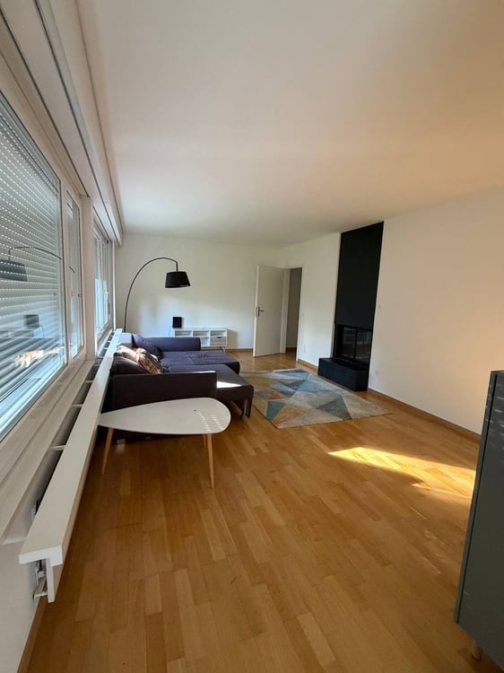 Spacious 4.5 apartment with private exit to garden in Zollikerberg 6