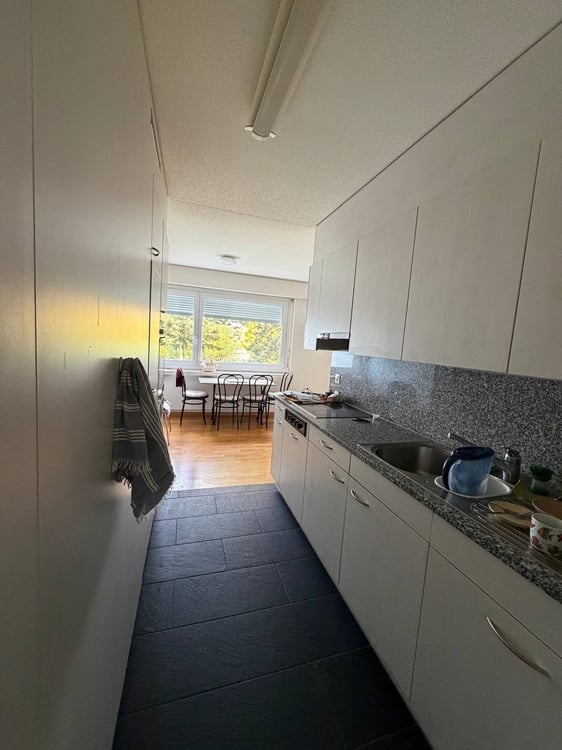 Spacious 4.5 apartment with private exit to garden in Zollikerberg 10