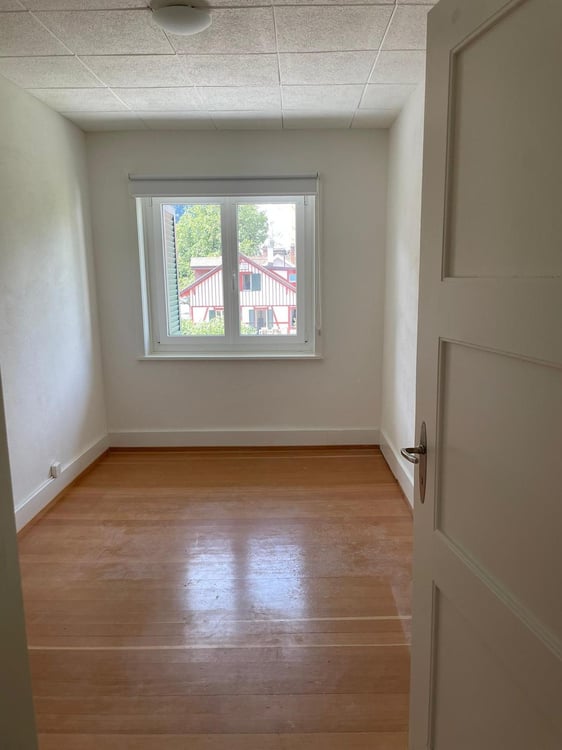 3-Zimmer-Altbauwohnung mit grosser Terrasse an sonniger und zentraler Lage 3