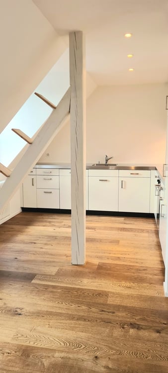 3.5-Zimmer-Maisonettewohnung mit privater Dachterrasse im Kreis 4 in Zürich 6