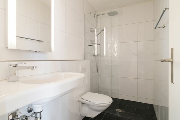 Exklusive 1½-Zimmer-Attikawohnung mit 91 m² Dachterrasse und Seesicht 6