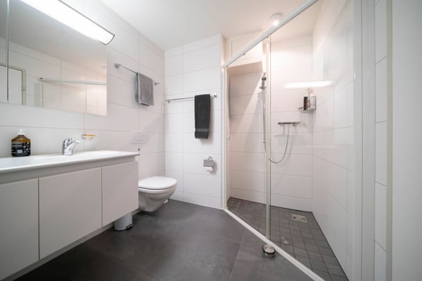 Grosszügige Minergie-Wohnung mit 31 m² Terrassenfläche nahe Zürich 6