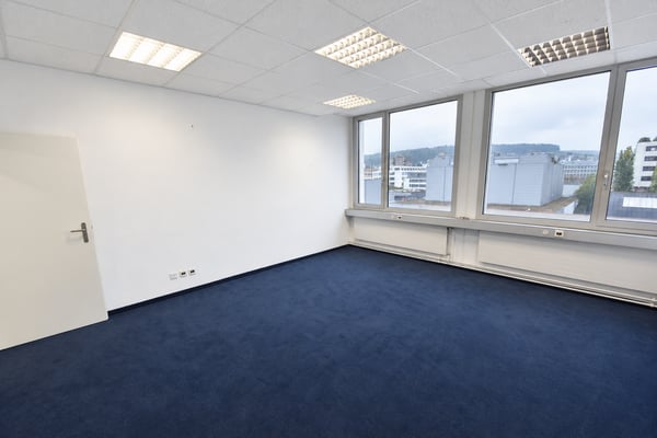 Viel Platz für Ihre Ideen - 180 m2 Lagerfläche in Urdorf 7