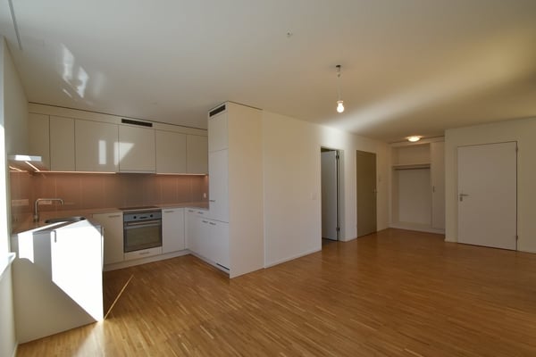 3 ½ Zimmer-Wohnung, 8903 Birmensdorf 2