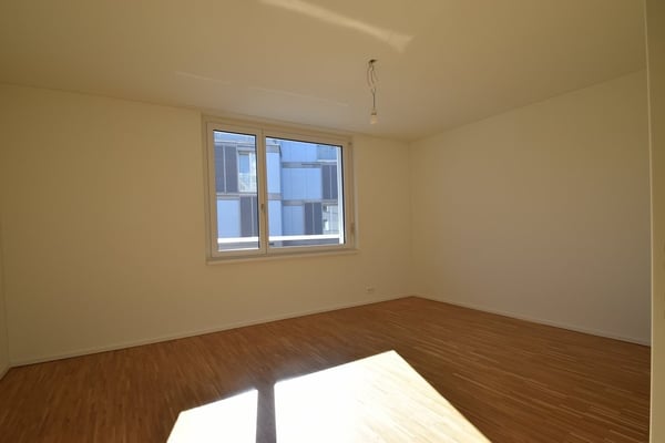 3 ½ Zimmer-Wohnung, 8903 Birmensdorf 7