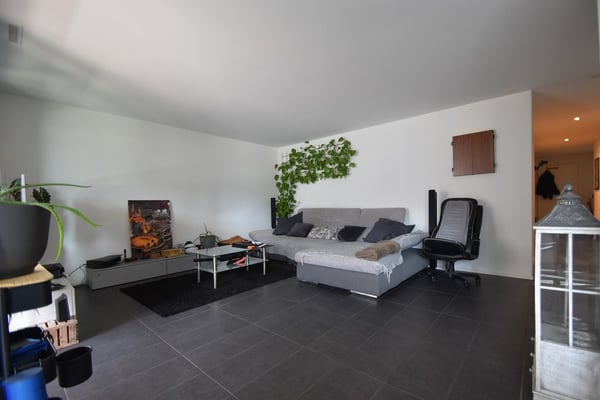Grosszügige Wohnung in Emmenbrücke 3