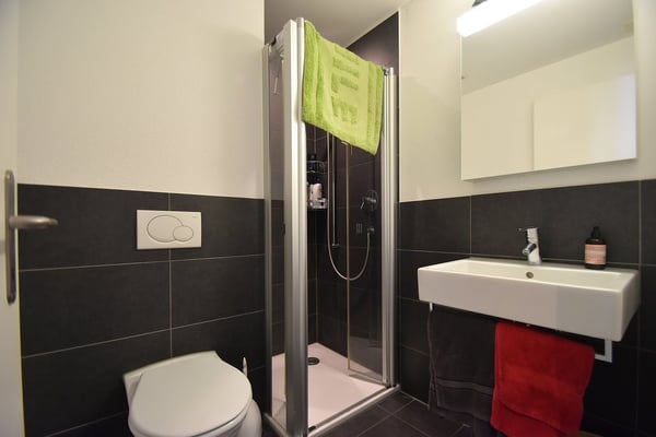 Grosszügige Wohnung in Emmenbrücke 9