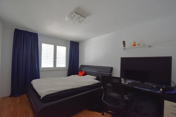 Grosszügige Wohnung in Emmenbrücke 6