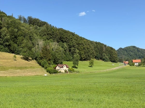 Hausen am Albis