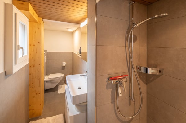Attraktives Dreifamilienhaus an zentraler Lage 7