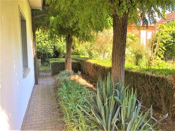 Starten Sie ins neue Jahr! Freistehendes 1 ½ Zimmer-EFH in Sarmenstorf 2