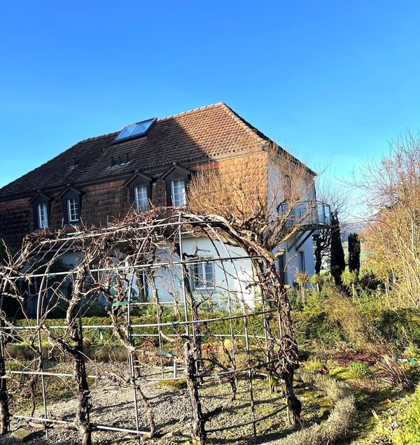 Starten Sie ins neue Jahr! Freistehendes 1 ½ Zimmer-EFH in Sarmenstorf 4