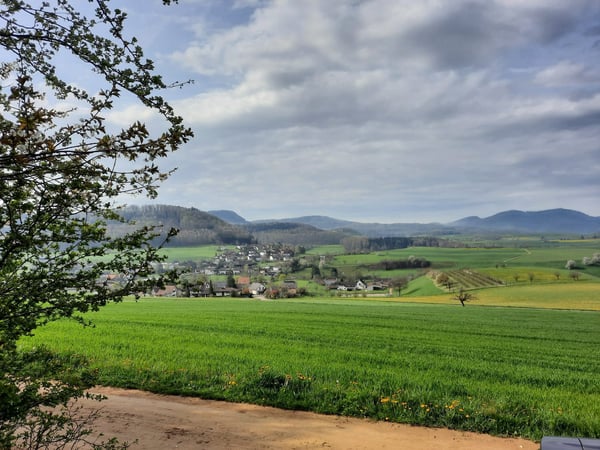 Entdecke eine gastronomische oder gewerbliche Chance im Gürbetal in der Nähe von Thun 1