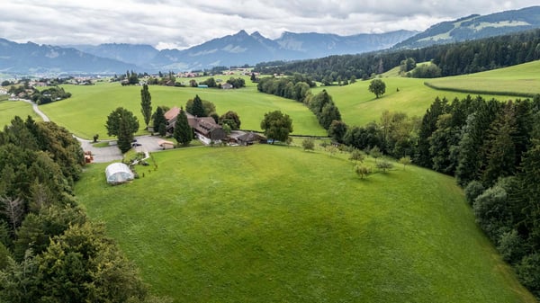 Le domaine historique Ô Colombettes est à la recherche de son prochain propriétaire. 3