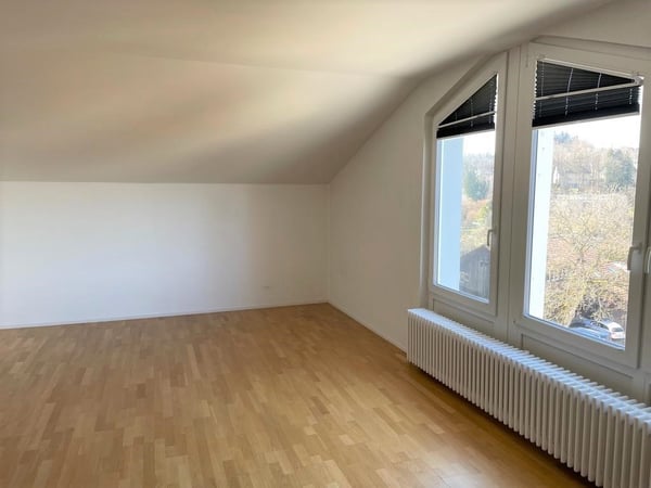 2.5 Zimmer-Dach-Wohnung im DG (KEIN LIFT) 2