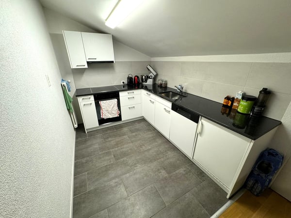 2.5 Zimmer-Dach-Wohnung im DG (KEIN LIFT) 4
