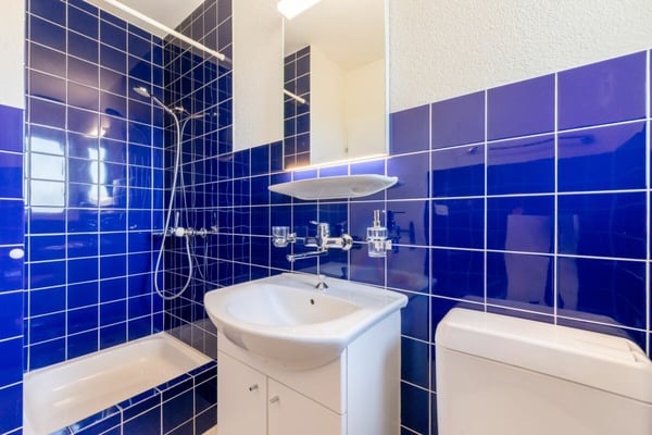 Doppeleinfamilienhaus an bester Lage in Rothrist zu vermieten 8