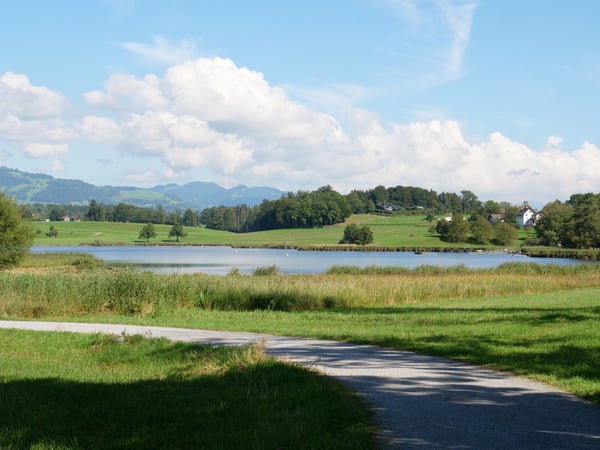 1 1/2-ZIMMER GARTENWOHNUNG, SONNIG, RUHIG, MITTEN IM DORF 8