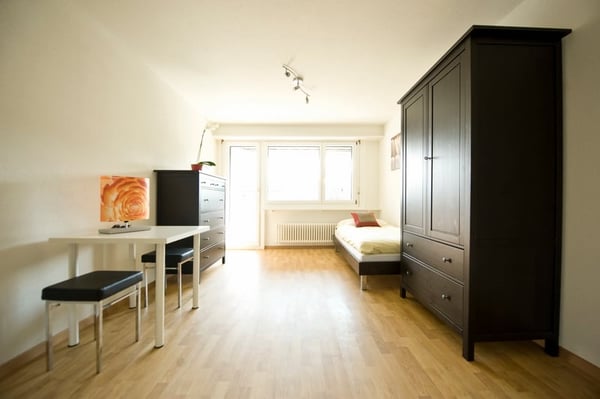 Gemütliches 1-Zimmer-Apartment in Kloten 3