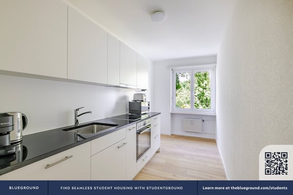 Blueground ID104, Basel-Vorstaedte 5