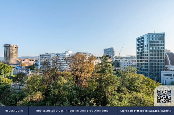 Blueground ID118, Basel-Vorstaedte 5