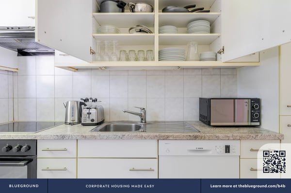 Blueground ID250, Adliswil 9