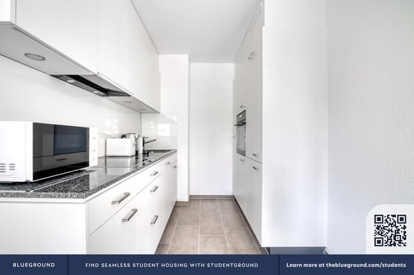 Sonniges Iselin 1 Zim.+Lager, 1 Min. zum Markt, über Blueground 5