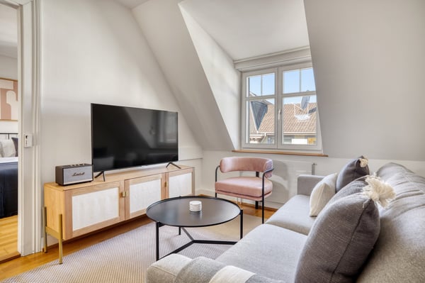 Charmante Breite 1Zim. mit W/T + Lager, nah Basel SBB, über Blueground 2