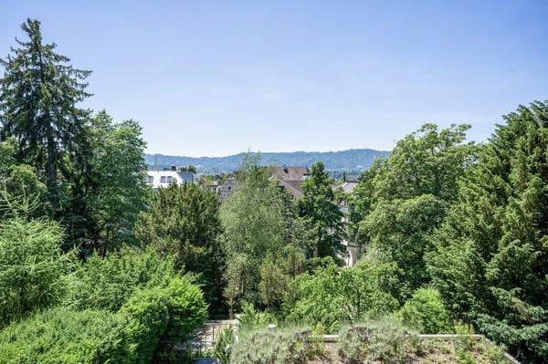 Schike Weinegg 1.5 Zim.+W/T ,2 Min. zum Markt, über Blueground 5