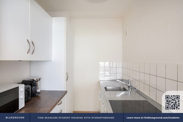 Traumhafte Gundeldingen 1 Zim., Keller, nah Tram, über Blueground 4