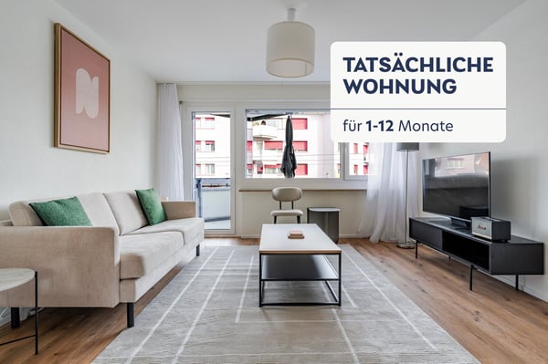 Blueground ID256, Dietikon 12