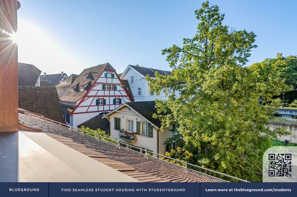 Blueground ID119, Basel-Vorstaedte 5