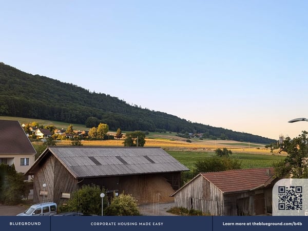 Building Hauptstrasse (ZRH-1255365P) 9