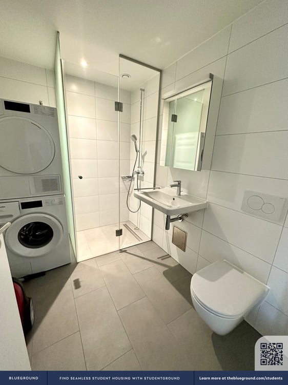 Building Rheinfallstrasse (ZRH-1131731P) 5