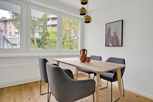 15 Minutes Walk to the Local Central Market,10 Minutes with Bus to Basel Main Train Station 6