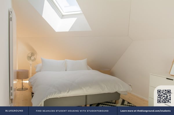Building Hofstrasse (ZRH1580733P) 5