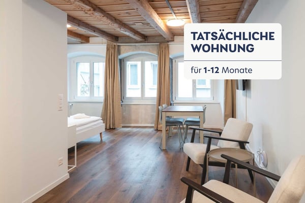 Building Eisengasse (ZRH1542193P) 1