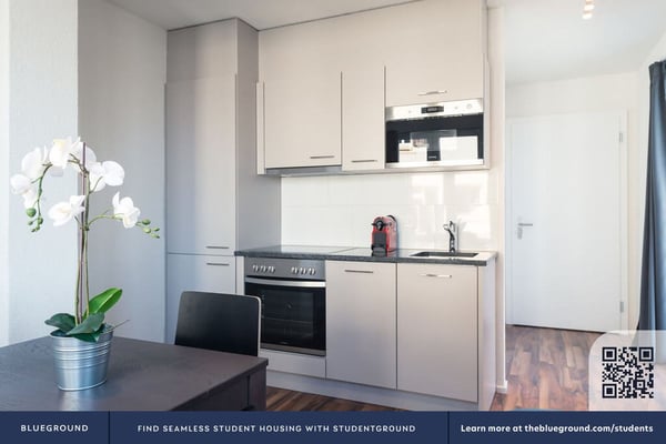 Building Birmensdorferstrasse (ZRH1459733P) 5